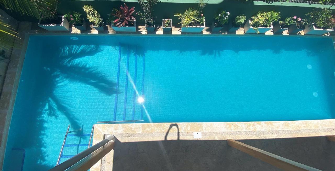 Casa Papito Διαμέρισμα Potrero  Εξωτερικό φωτογραφία